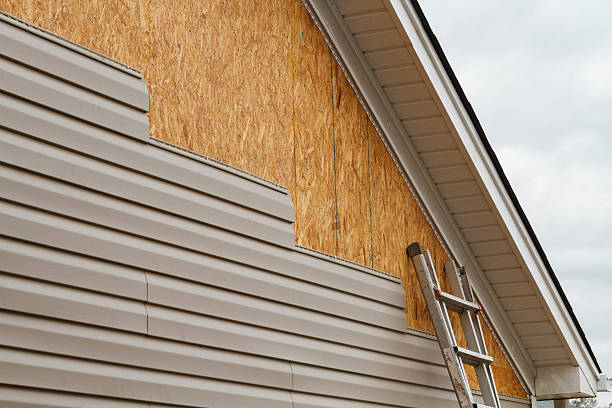 Professional Siding Repair technician working in Roanoke, IL